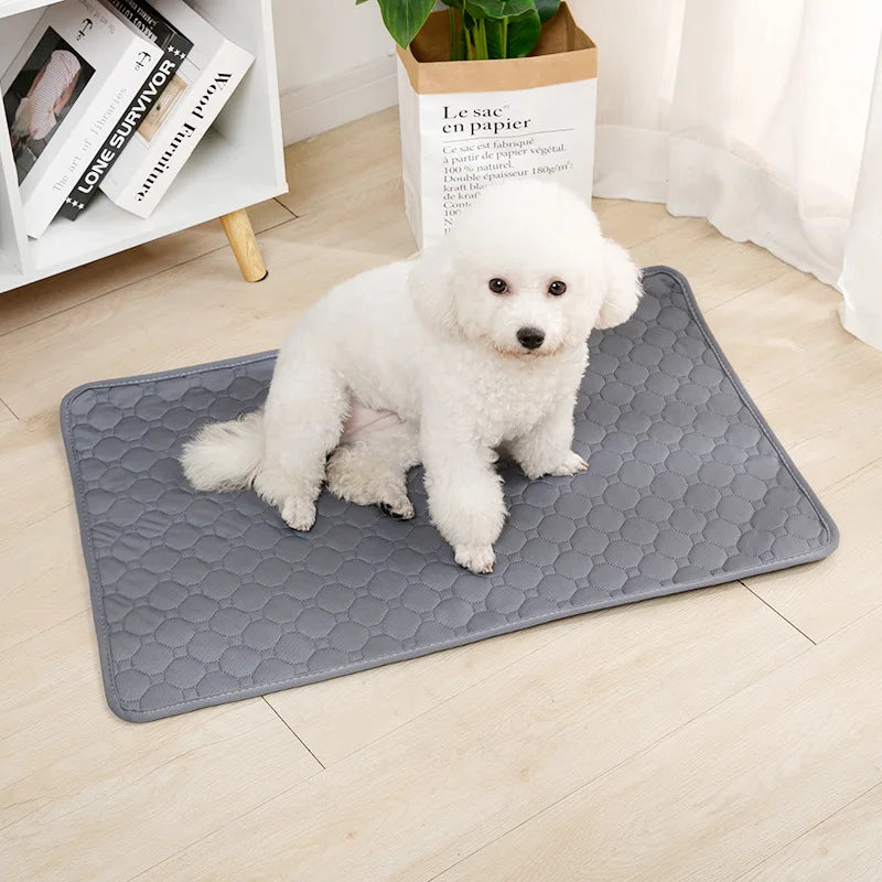 Reusable Dog Pee Pad Blanket – Washable Waterproof Puppy Training Mat