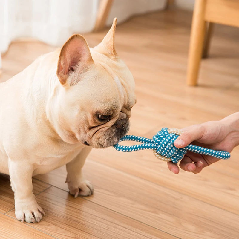 Mini Rope Chew Ball Toy – Durable Interactive Dog Toy for Small Dogs
