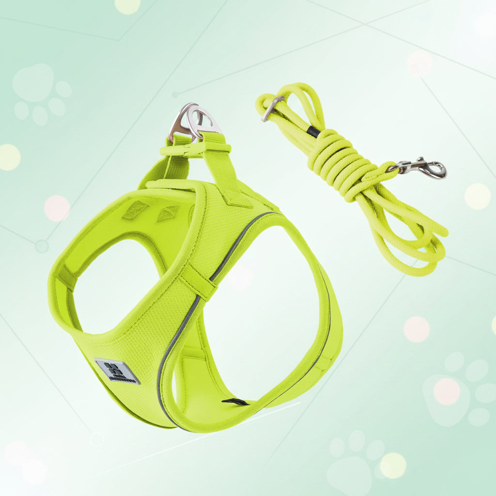 Tiny Pup Den No-Pull Dog Harness and Leash Set - Adjustable Escape-Proof Reflective Vest, Soft Breathable Mesh for Small to Medium Dogs, Puppies