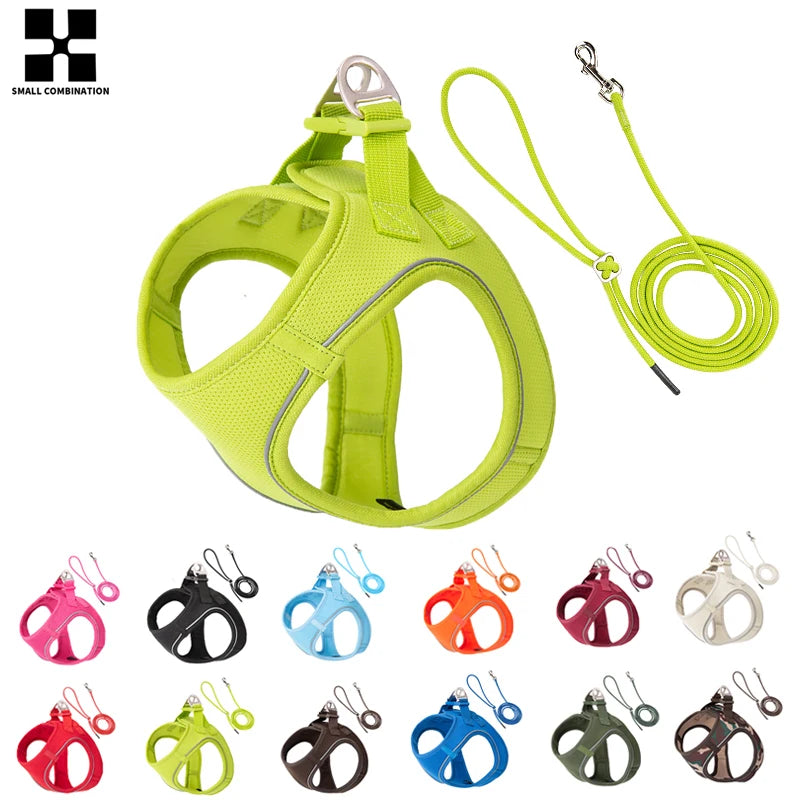 Tiny Pup Den No-Pull Dog Harness and Leash Set - Adjustable Escape-Proof Reflective Vest, Soft Breathable Mesh for Small to Medium Dogs, Puppies