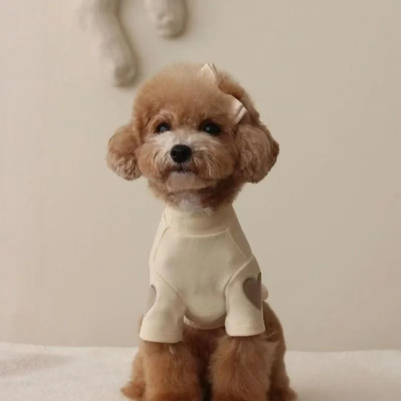 Warm Dog Hoodie for Small Dogs – Bear Design Sweater for Yorkies, Puppies & Cats