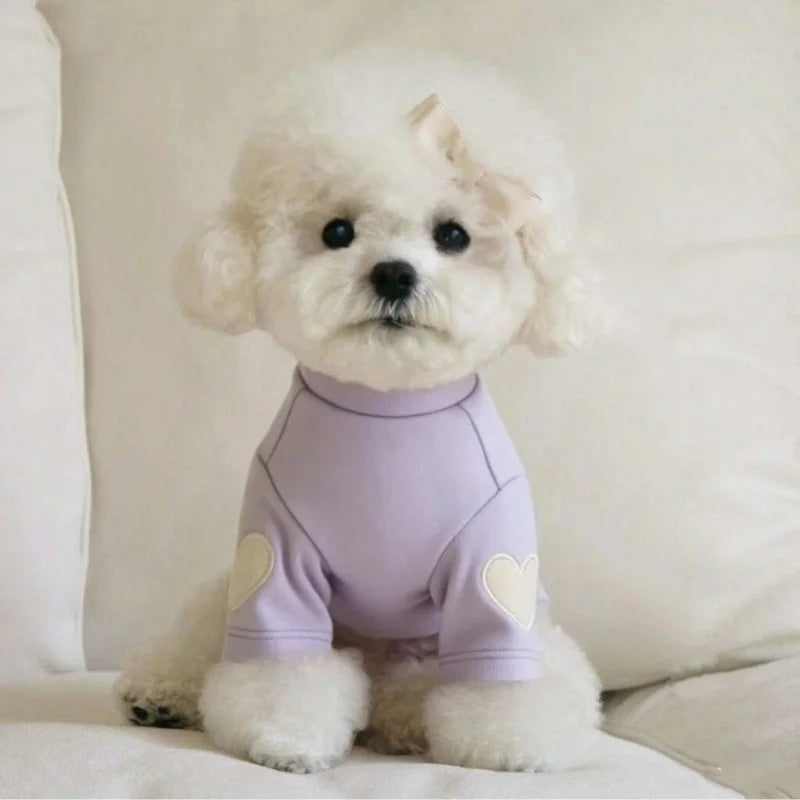 Warm Dog Hoodie for Small Dogs – Bear Design Sweater for Yorkies, Puppies & Cats