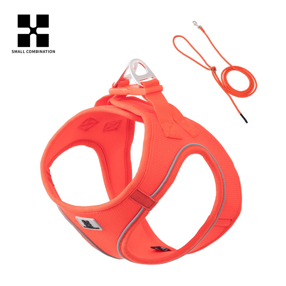 Tiny Pup Den No-Pull Dog Harness and Leash Set - Adjustable Escape-Proof Reflective Vest, Soft Breathable Mesh for Small to Medium Dogs, Puppies