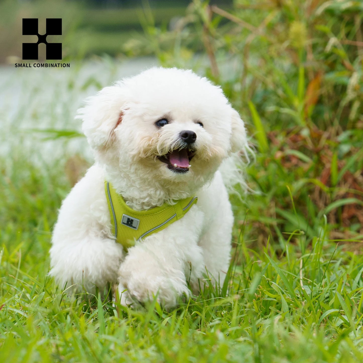 Tiny Pup Den No-Pull Dog Harness and Leash Set - Adjustable Escape-Proof Reflective Vest, Soft Breathable Mesh for Small to Medium Dogs, Puppies