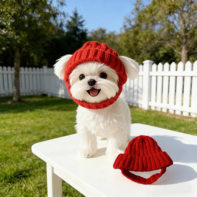 Tiny Pup Den Warm Knitted Dog Winter Hat – Comfortable Windproof Pet Headwear & Ear Warmer Accessory for Small Dogs