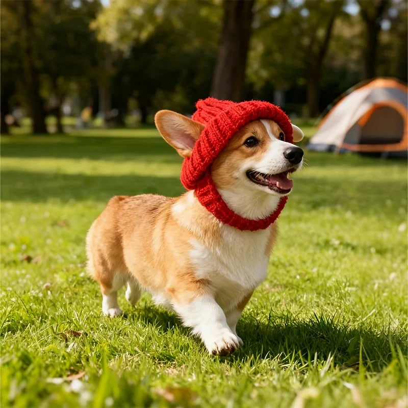 Tiny Pup Den Warm Knitted Dog Winter Hat – Comfortable Windproof Pet Headwear & Ear Warmer Accessory for Small Dogs