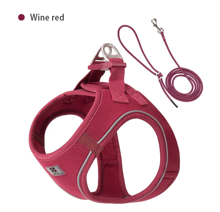 Tiny Pup Den No-Pull Dog Harness and Leash Set - Adjustable Escape-Proof Reflective Vest, Soft Breathable Mesh for Small to Medium Dogs, Puppies