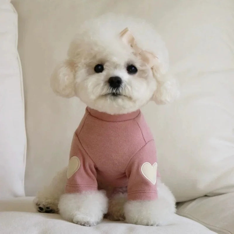 Warm Dog Hoodie for Small Dogs – Bear Design Sweater for Yorkies, Puppies & Cats