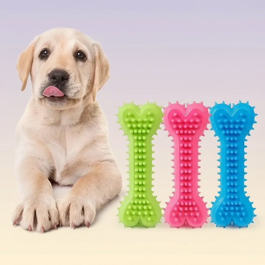 Dog Dental Chew Bone – Rubber Toothbrush Toy for Cleaning & Training