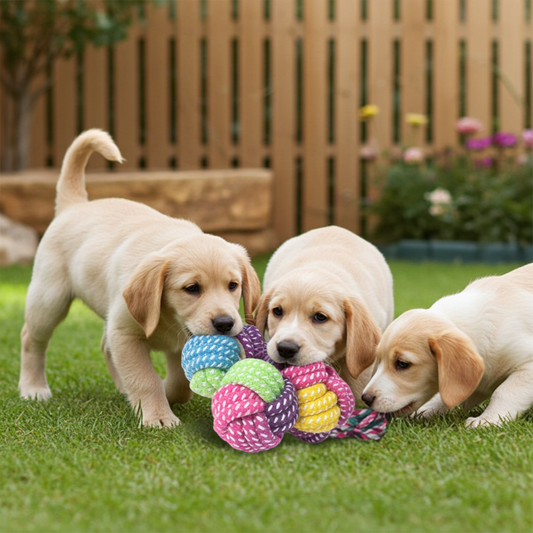 Mini Rope Chew Ball Toy – Durable Interactive Dog Toy for Small Dogs